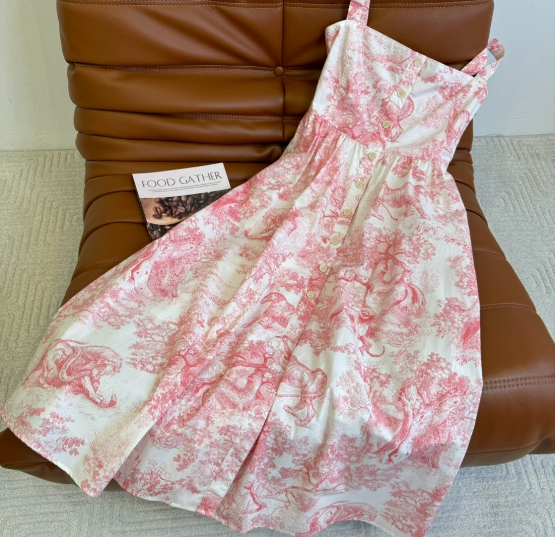 Dior Dress