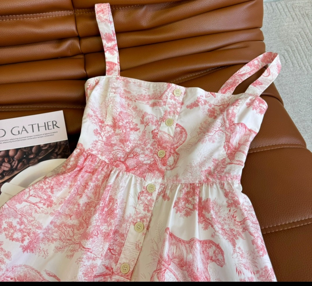 Dior Dress