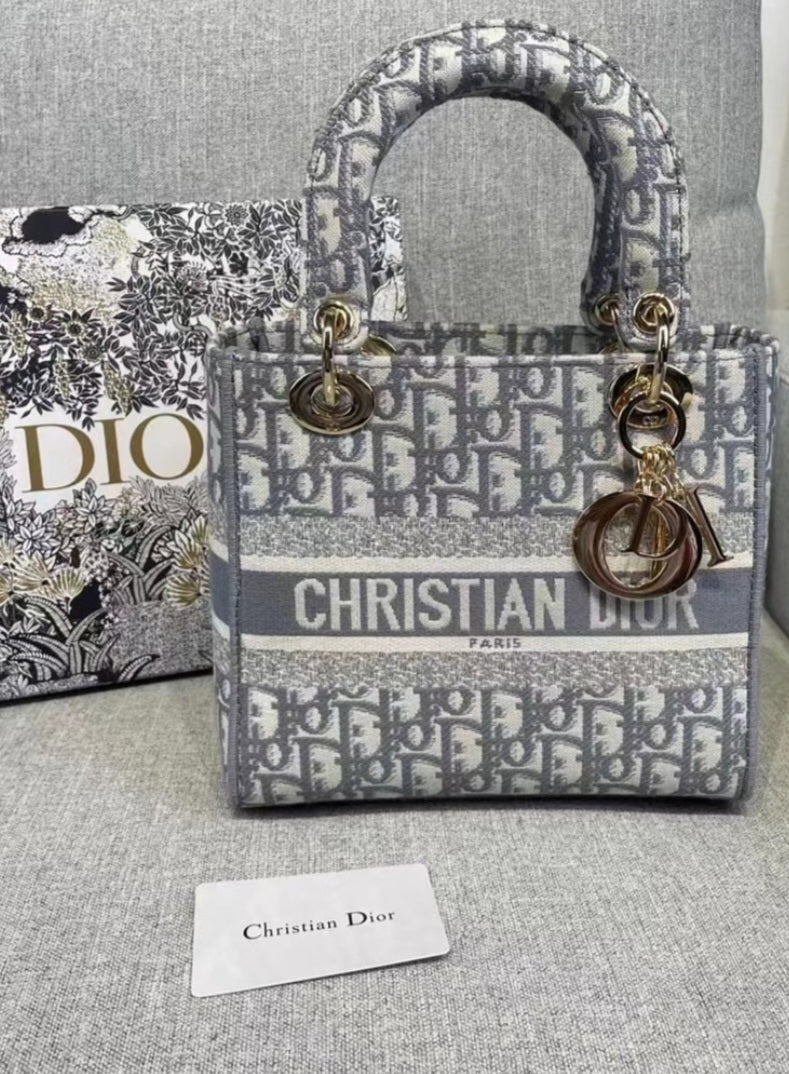Dior Dlite Bag