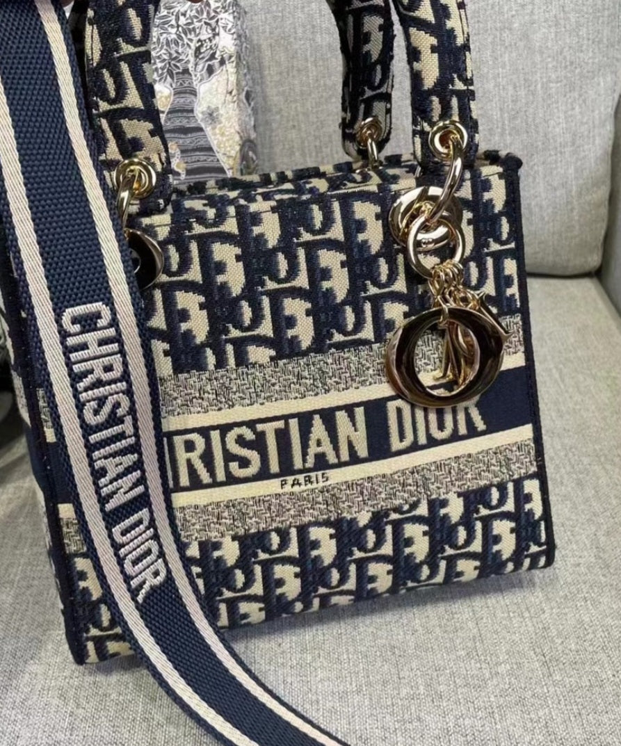 Dior Dlite Bag